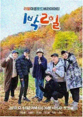 声浪计划 综艺免费看